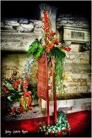 /album/fotogaleria-girona/mg-9001-640x480-jpg/